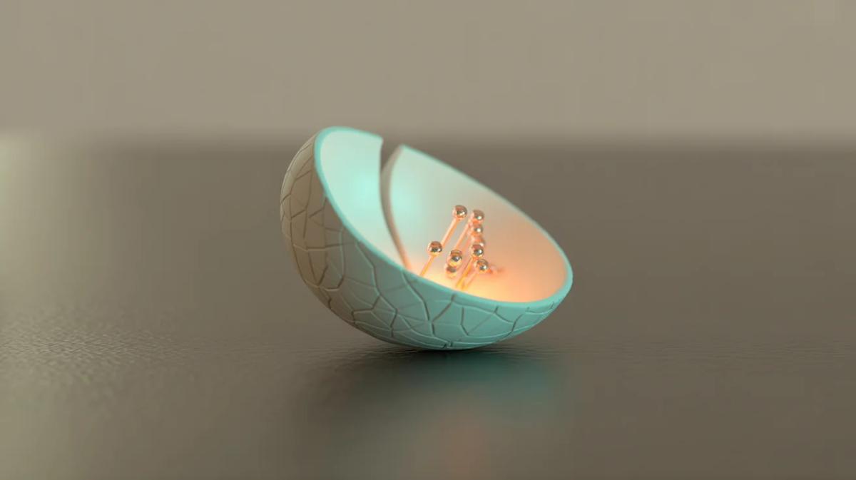 Cardano Awakens: Exciting Developments on the Horizon