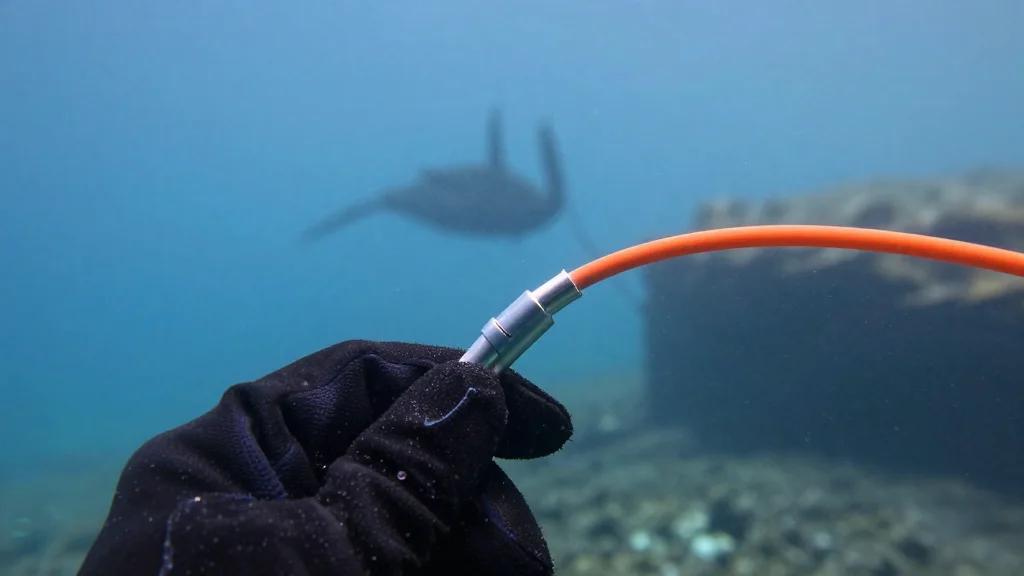 Weekly Brief – 24th April 2026