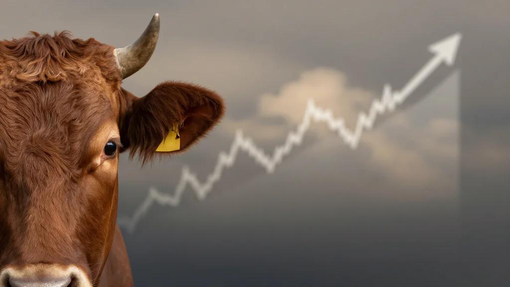 Cattle Prices Surge Ahead of Other Commodities Amid Inflation