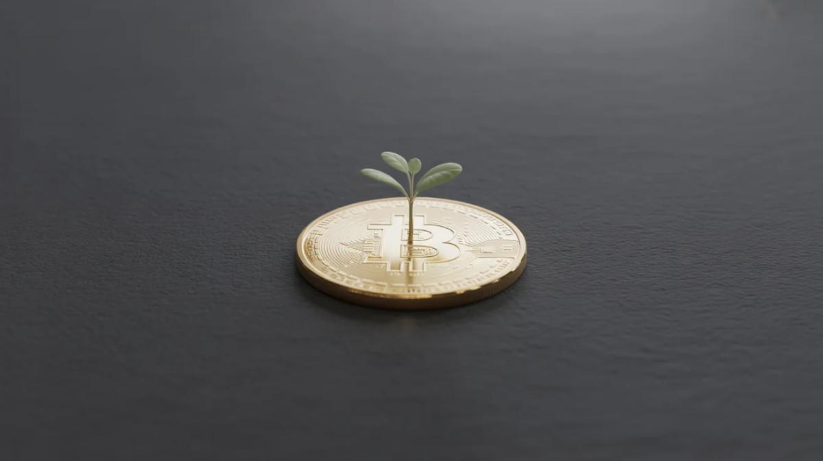 Patience and DCA Yield 10x Crypto Gains