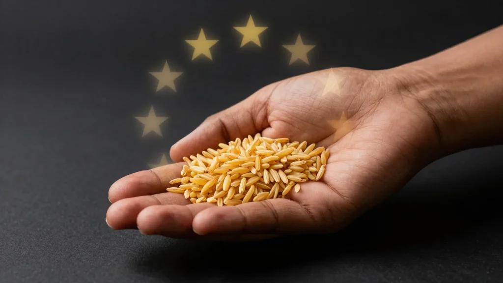 Rice Export Rules Relaxed for Select European Countries
