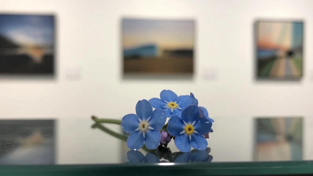 Forget Me Not Curated by Freeny Yianni and Richard Scarry