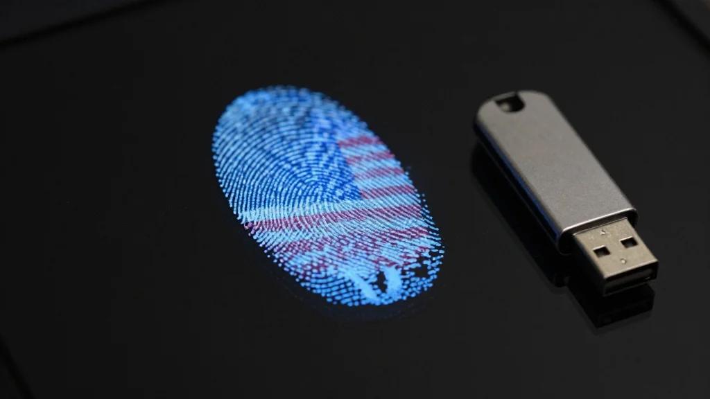 US Nationals Behind DPRK IT Worker 'Laptop Farm' Sent to Prison