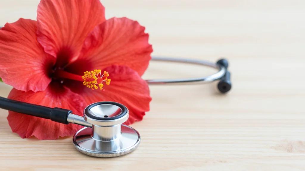 Maui Mental Health Providers Face Stress and Uncertainty About State Jobs