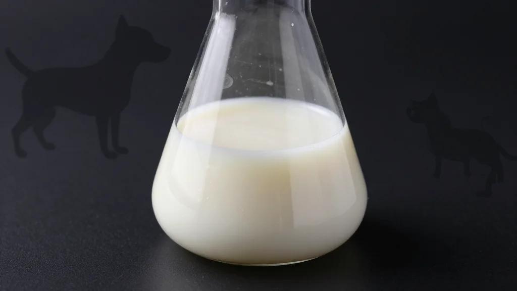 Symrise Invests in Bond Pet Foods to Accelerate Precision‑fermented Pet Proteins