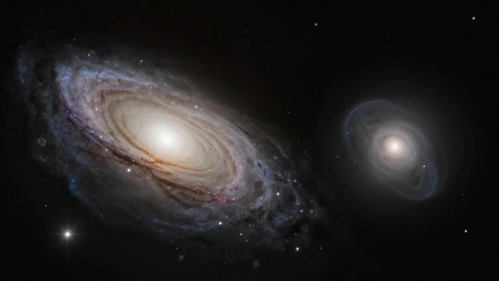 Self-Regulating Process Governs Cosmic Order Inside Star Clusters