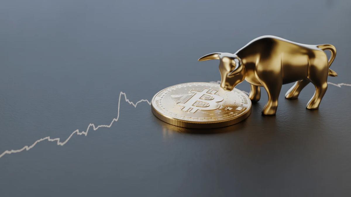 Bitwise Keeps Bitcoin, Boosts Market Confidence