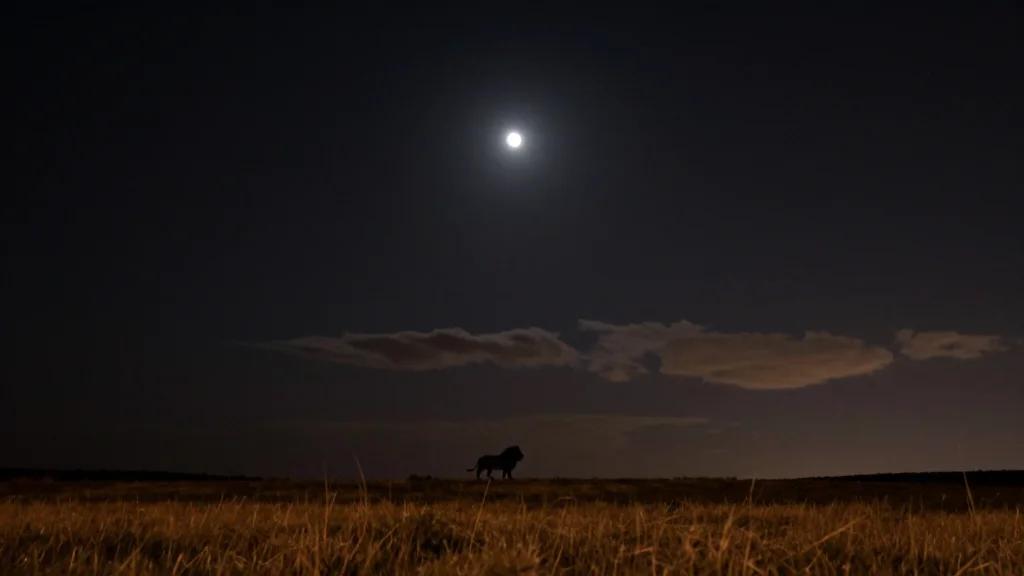 The Sky Today on Monday, March 30: Vega Rising