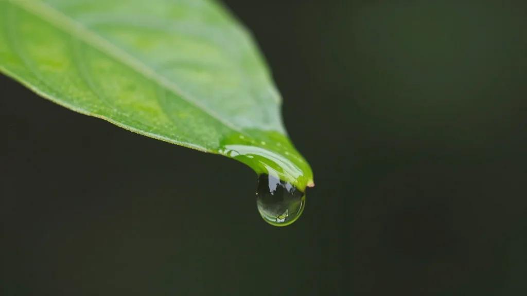 Chamber CEO’s Oil Op‑ed Leans on Criticized Yergin