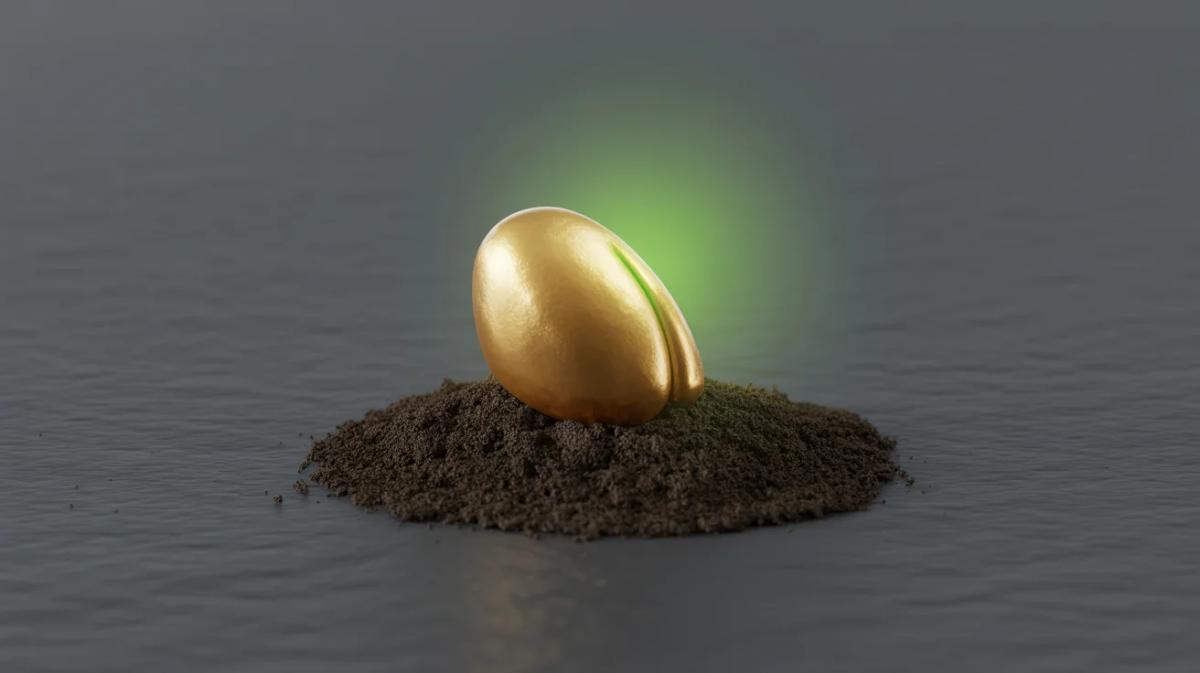 Live Pitch Dissection with Haley Bryant