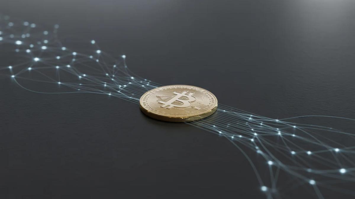 Determining Bitcoin’s Primary Driver: Price or Adoption?