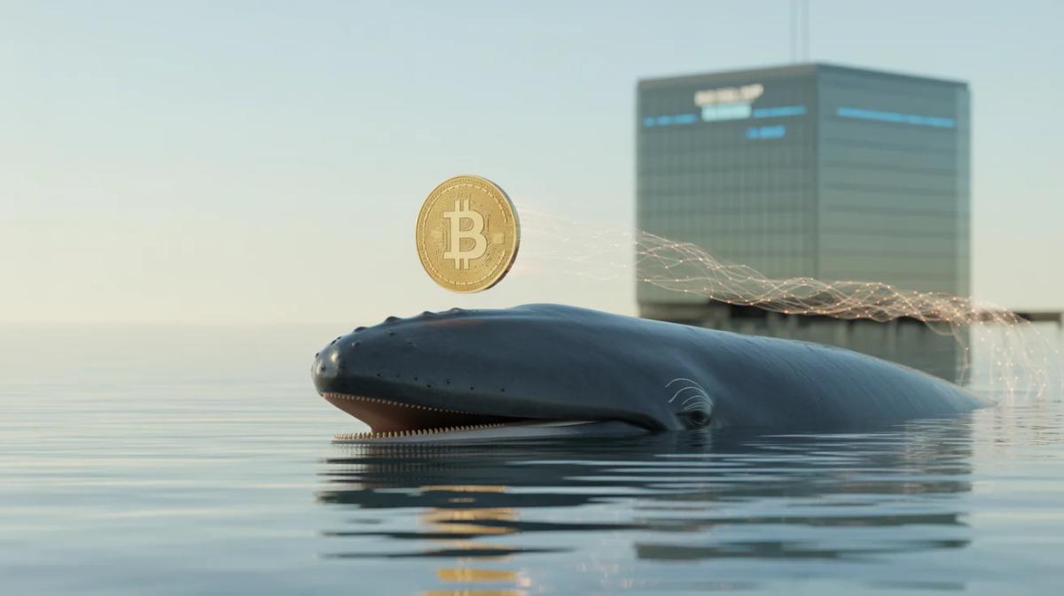 Bitcoin Risks Deeper Drop if Whale Exchange Deposits Stay High: Analyst