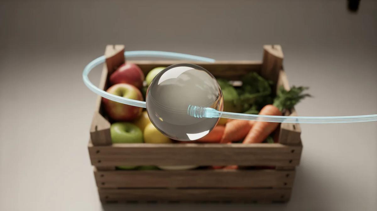 'Fragmented' Microsoft Tools Undercut Efficiency at Amazon and Whole Foods, Internal Deloitte Review Finds