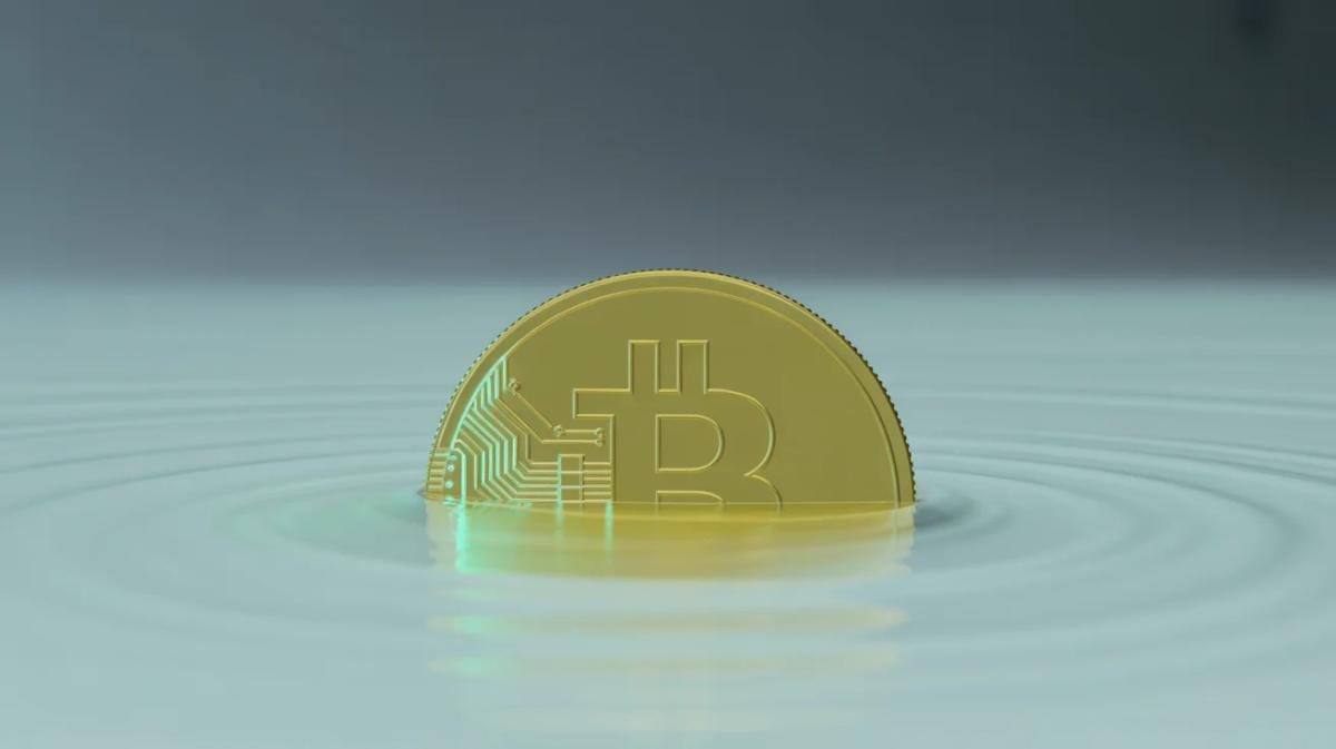 Curiosity Precedes Conviction; Let's Discuss Bitcoin Fundamentals