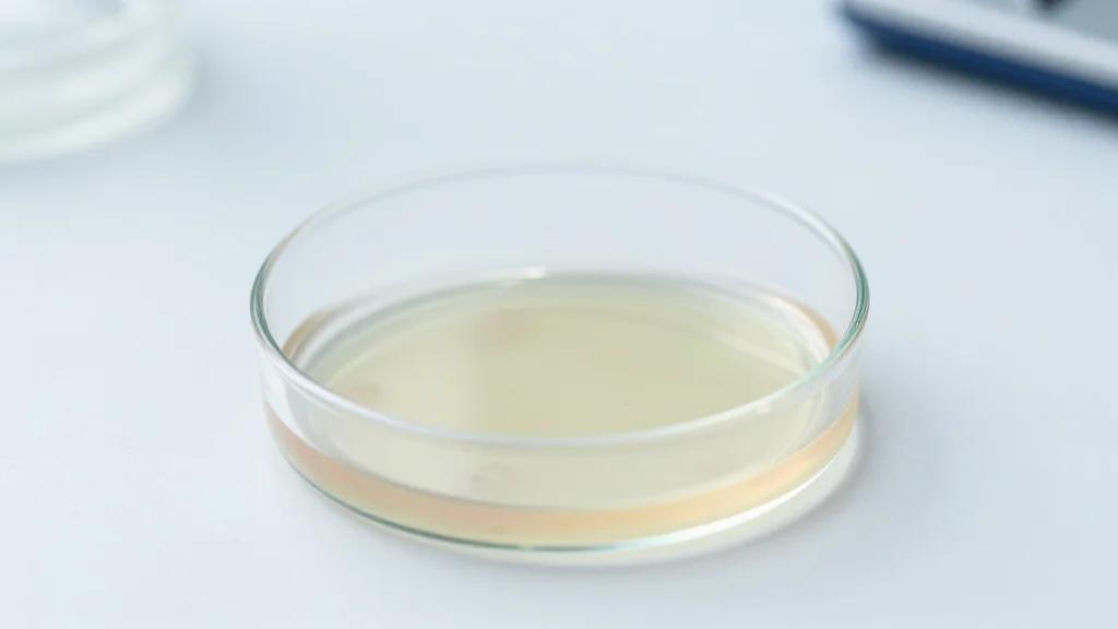 Higher Phenotypic Age Accelerates Cancer Survivors' Mortality Risk