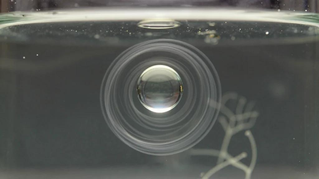Liquid Phase TEM of Diffusing Emulsion Droplets