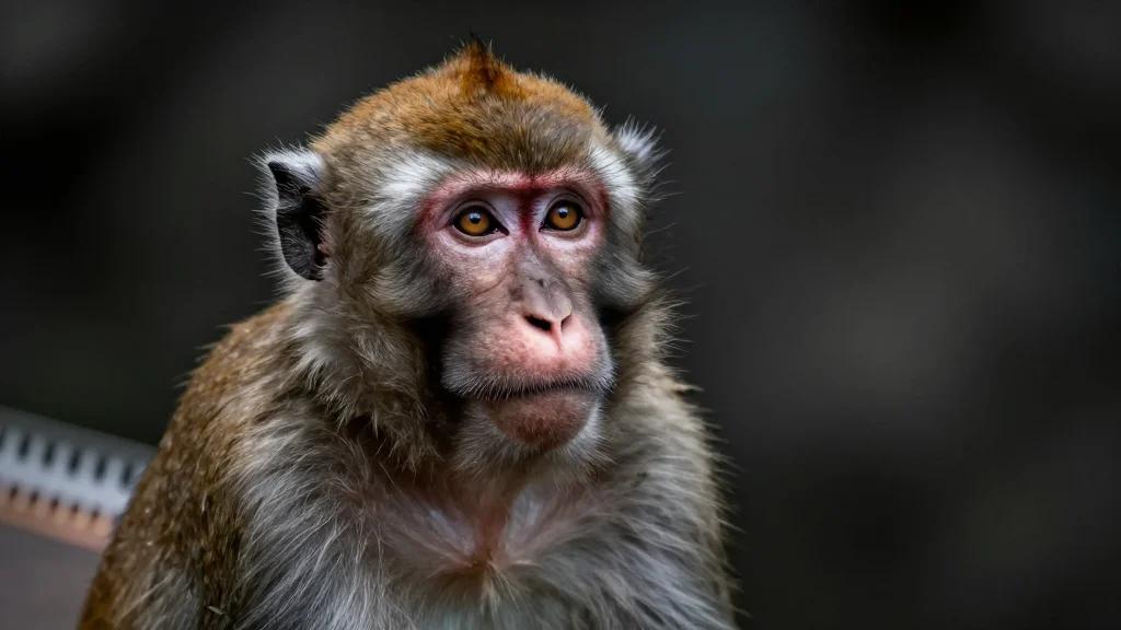 'You Let People See What's Happening and It Makes Its Own Argument' By Amber Wilkinson