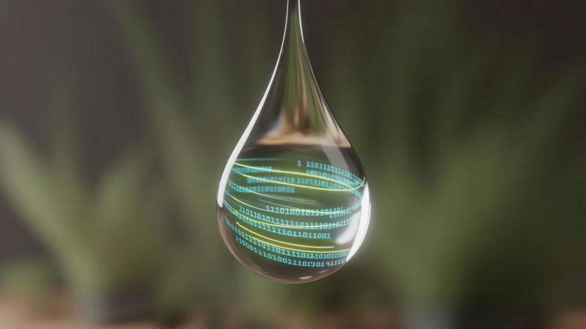 New Solution Gives Real-Time Insight Into Bot Traffic