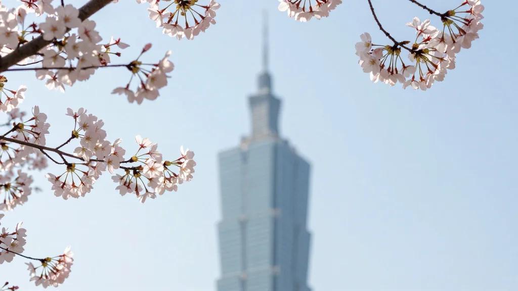Cherry Blossoms in Taiwan. Sunday Morning Photograph.