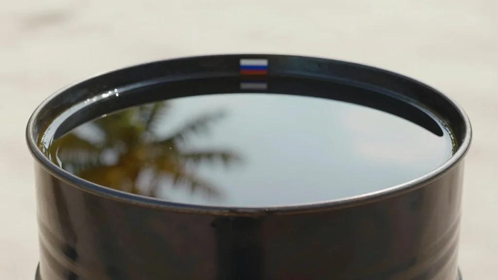 Vietnam's Binh Son Seeks Russian Crude Oil Partnership