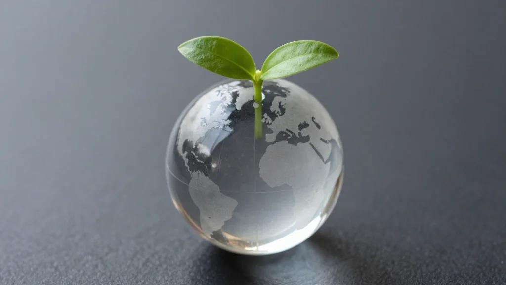 Advancing Sustainability Reporting and Assurance