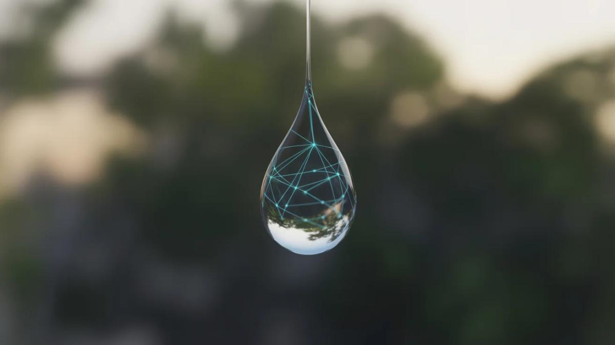 Virginia Launches Transparent Statewide Environmental Credit Marketplace on Hedera