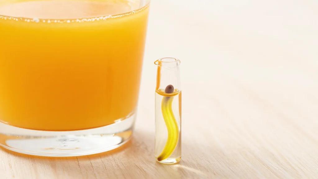 UT Southwestern Study Links Refeeding Phase to 41% Lifespan Boost in Worms