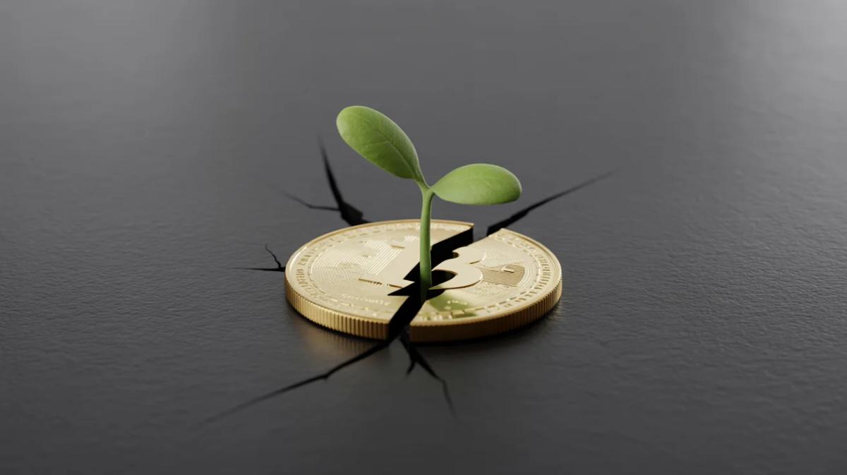 Adoption Grows While Crypto Prices Remain Stagnant