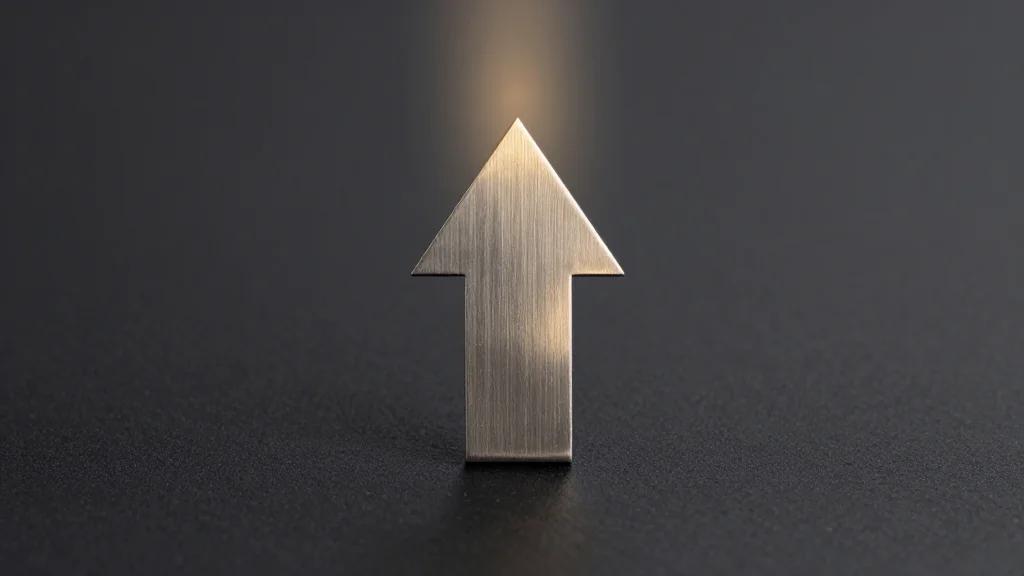 Rimini Street (RMNI) Enters Into a Multi-Year Partnership With South Korea’s Lotte Rental