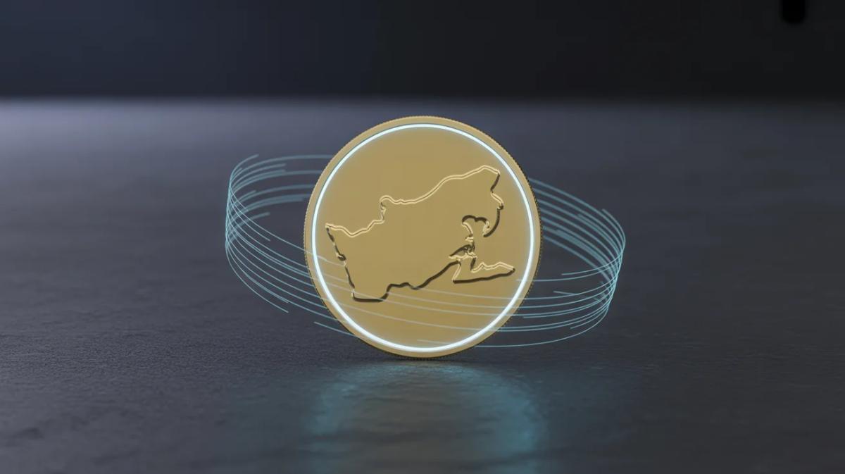 Turkish Crypto Exchange Paribu Buys Majority Stake in Competitor CoinMENA