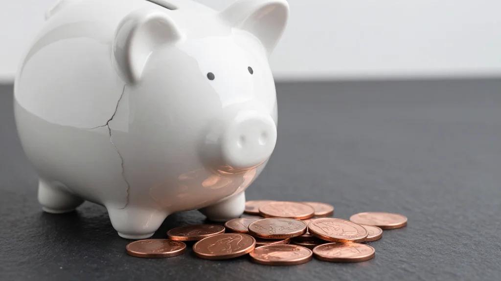 PETS Faces 30% Decline, Cash Burn Threatens Survival