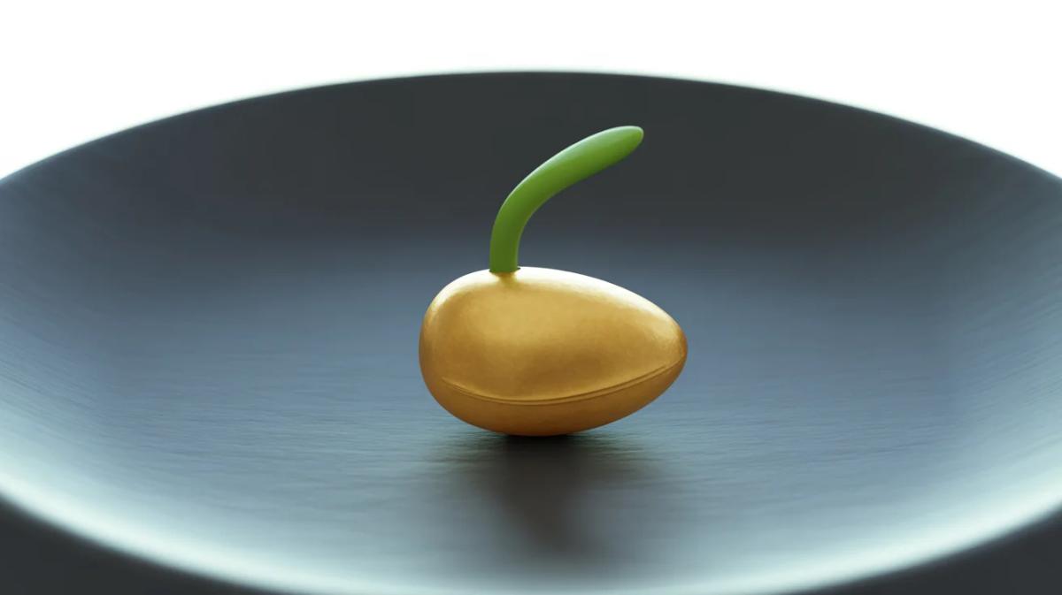 High ROAS Limits Scale; Prioritize Long‑Term Growth