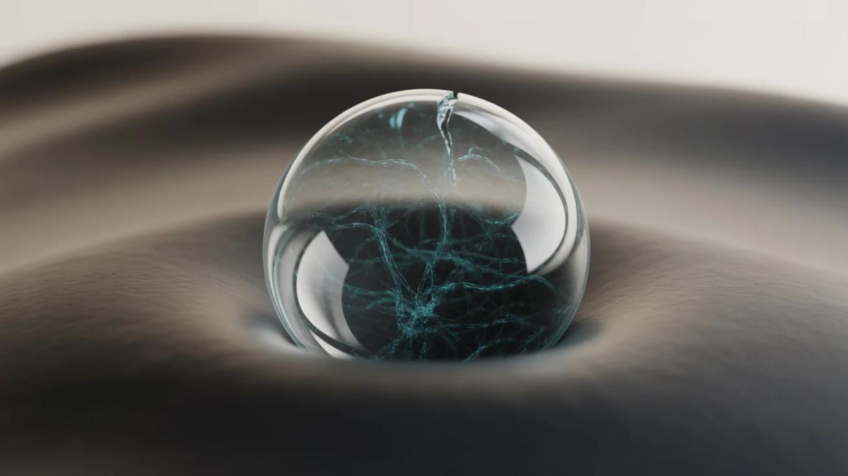 Preparing for the Fallout of a Bursting AI Bubble