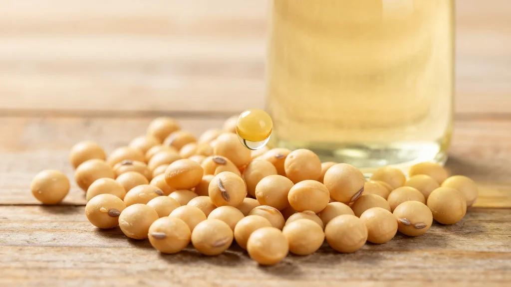 Soybean Oil-to-Bean Ratio Hits Record High Since 1974