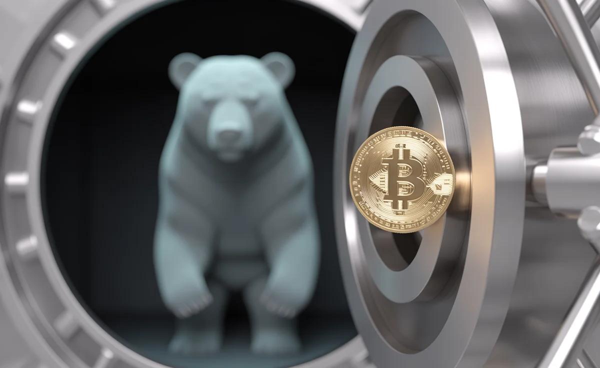 Traditional Finance May Be Propping up a Bear Market