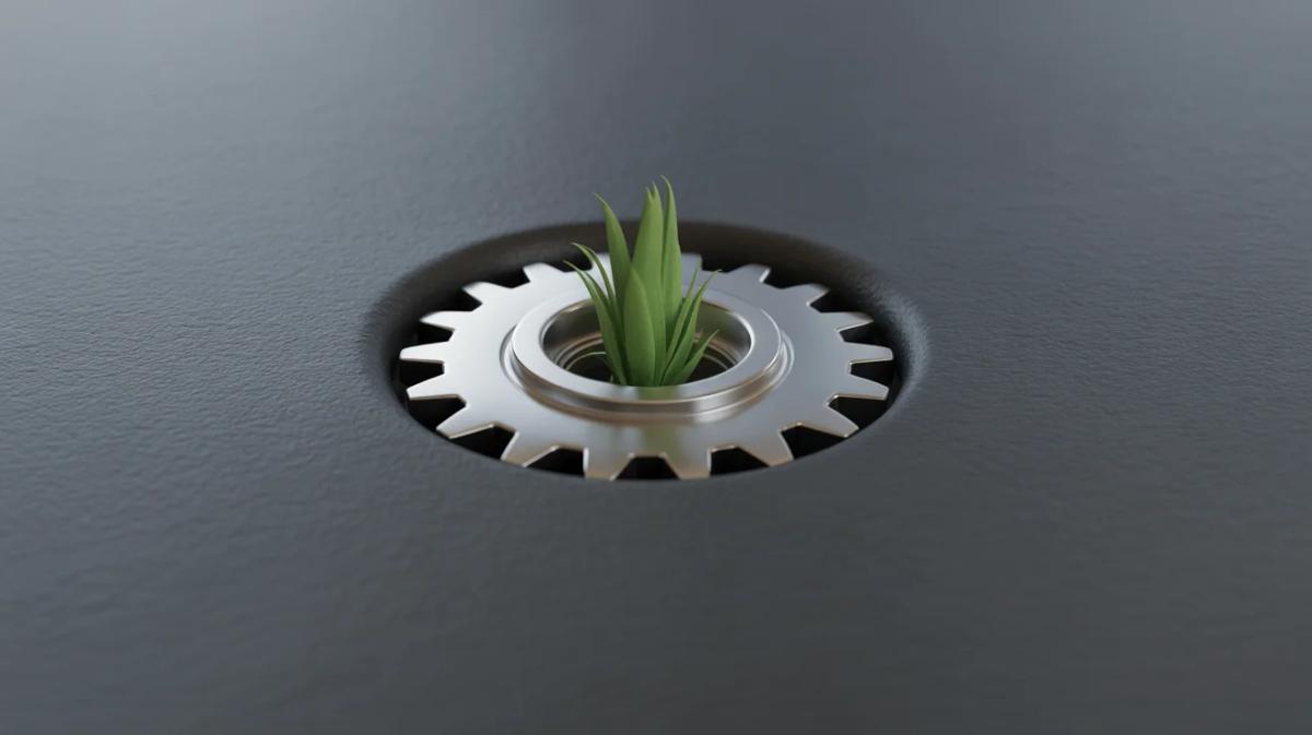 First‑time Founders Often Overlook the Discipline Needed