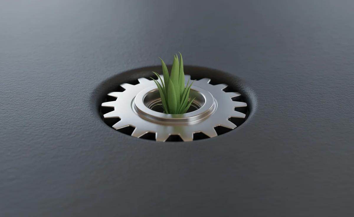 First‑time Founders Often Overlook the Discipline Needed