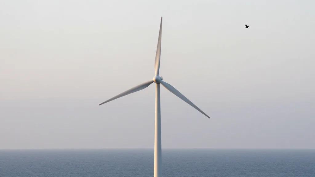 Trump Attacks on Offshore Wind Have Had 'Terrible' Impact, Says EU Energy Chief