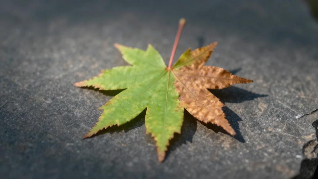 Happier People Live Longer, Even in Cultures that Value Emotional Restraint