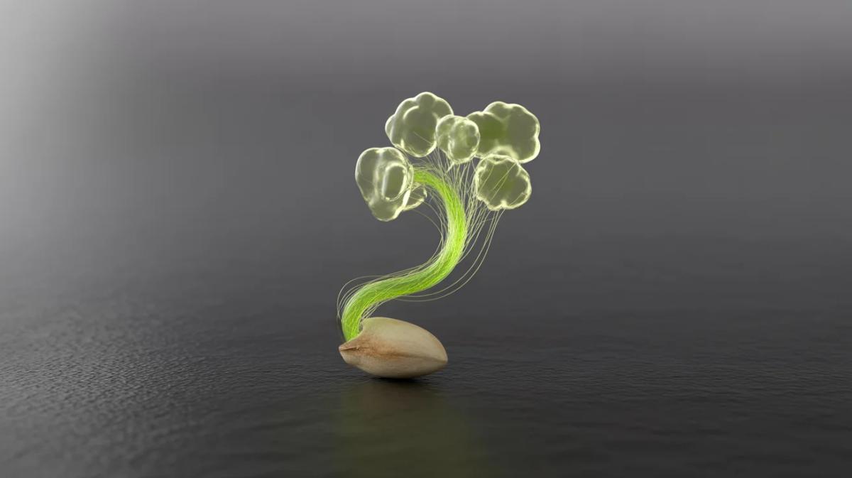 TinySeed Fund IV Launches with $60M AUM